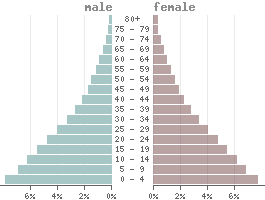 Pirámide de edad Países de bajos ingresos