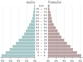Pirámide de población Tanzania 2021