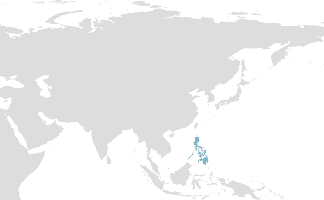 Difusión Waray-waray