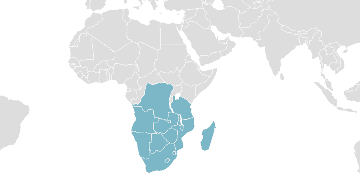 Mapa de los países miembros: SADC - Comunidad de Desarrollo del África Austral