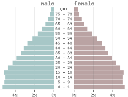 Pirámide de población Yibuti 2020