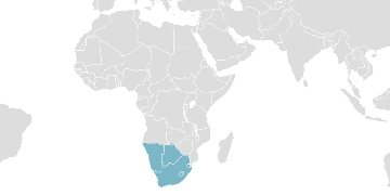 Mapa de los países miembros: SACU - Unión Aduanera del África Meridional