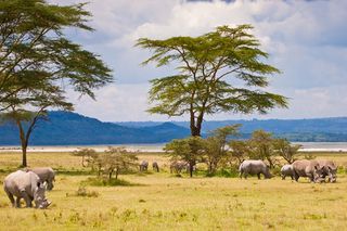 Turismo en Kenia